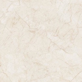 Напольная плитка Italon Contempora 60x60, Pure Пат