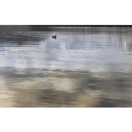 Панно Wanaka Панно №6,Глянцевая,25x40